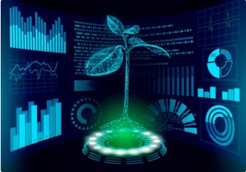 Genetically-Modified Crops Molecular Characterization Analysis