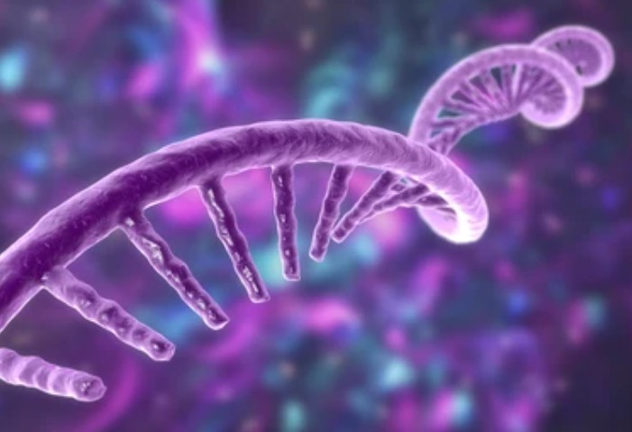 Development of RNA Pesticides