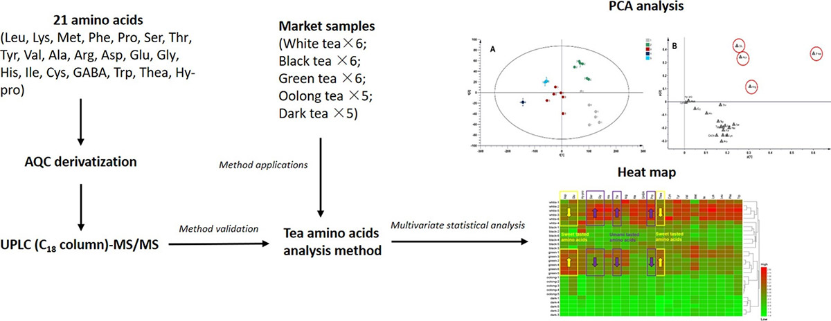 Determination of 21 free amino acids in 5 types of tea by ultra-high performance liquid chromatography coupled with tandem mass spectrometry (UHPLC-MS/MS).