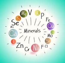 General Metal Nutrients Testing in Tea