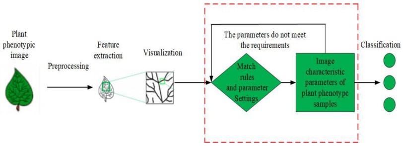 Figure 1. Plant phenotypic image recognition technology based on deep learning. 