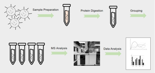 Technical flow chart of Isotope-Labeled Relative and Absolute Quantitative Proteomics Analysis.