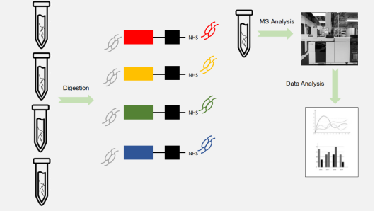 Technical flow chart of Non-labeled Quantitative Proteomics Analysis.