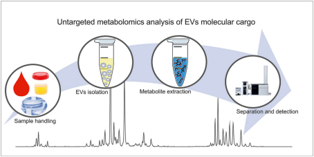 Untargeted metabolomics analysis of EVs molecular cargo. (D. Dudzik et al., 2021)