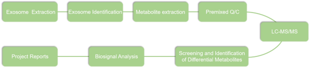 Technical flow chart of exosome metabolomics services provided by Lifeasible.