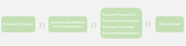 Figure 2：Technical flow chart of exosome polyomics.