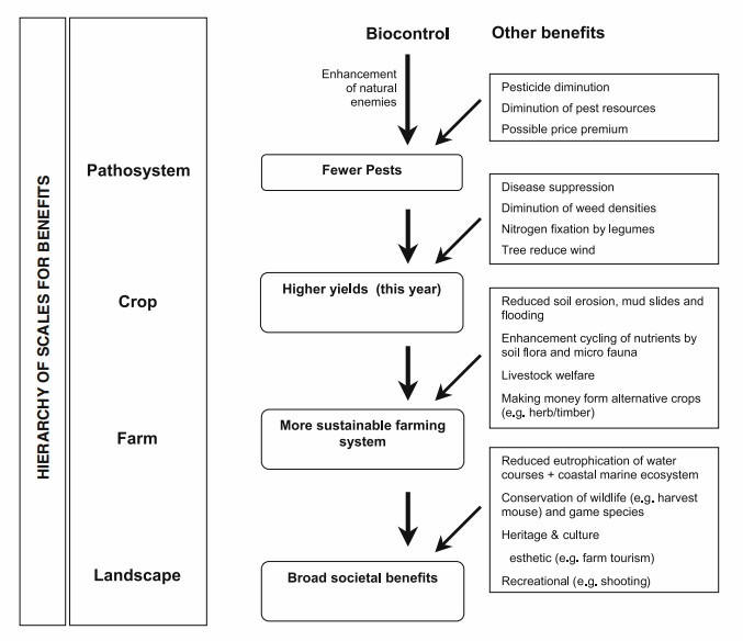 The hierarchy of scale for potential benefits of multi-function agricultural biodiversity.