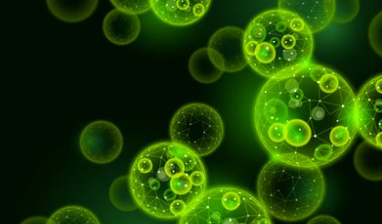 Regulation of Secondary Metabolite Synthesis in Plant Cell Culture