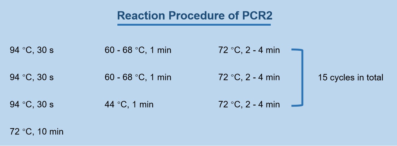 Reaction Procedure of PCR2