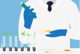 Agricultural Phages Detection and Identification