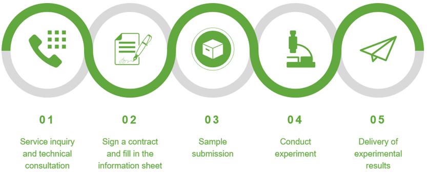 Service process of Agricultural Phage Display Technology Services