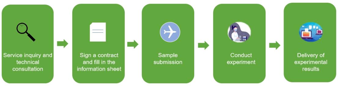 Service process of Agricultural Phages Isolation and Purification