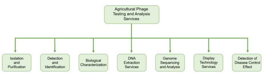 Services Content of Agricultural Phage Testing and Analysis Services