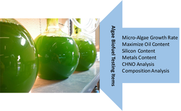 Figure 1. Quality testing of algae biofuel