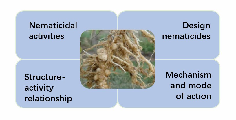 Chemical control for inhibition of lipid synthesis in plant nematodes.