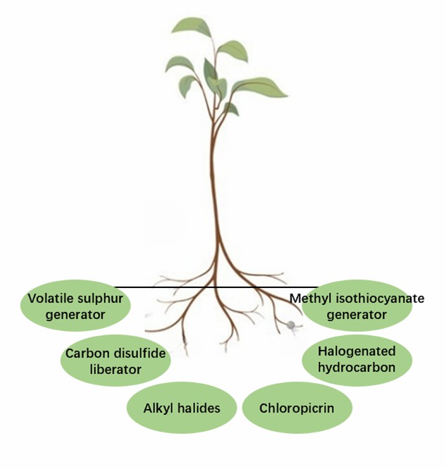 Schematic diagram of nematode-killing by multi-locus inhibition of fumigants.