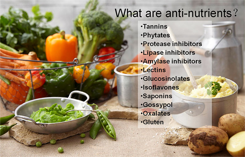 Anti-Nutrient Analysis