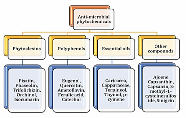 Fig. 1 Anti-microbial phytochemicals (Rex et al., 2018).