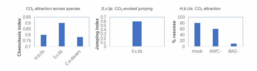 Attraction of nematodes by CO2