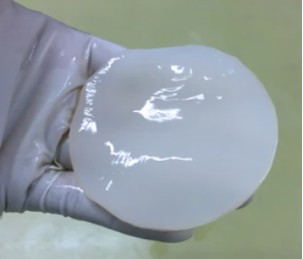 Bacterial Cellulose Development