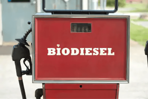 Biodiesel Production Service