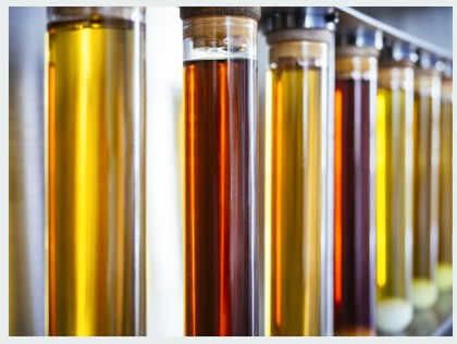 Biodiesel Fuels Testing