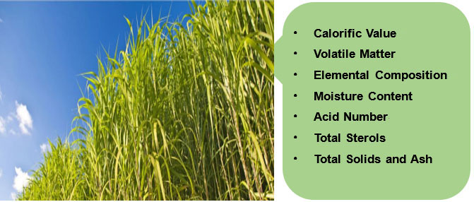 Biomass Compositional Analysis