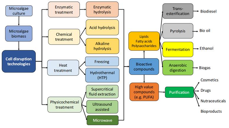 Key biorefinery processes for algal cell disruption, processing, and product recovery.