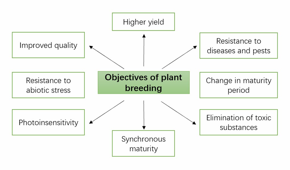 Objectives of plant breeding.
