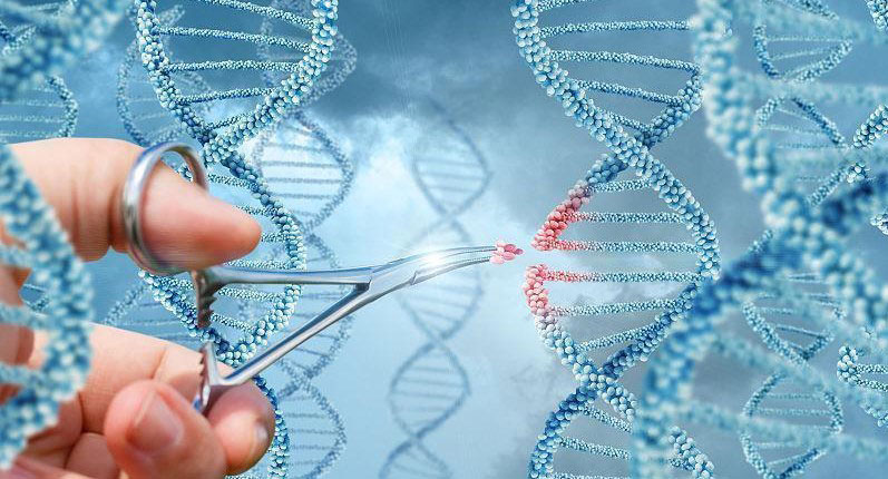 CRISPR/Cas12a Multiplexable Gene Editing-1