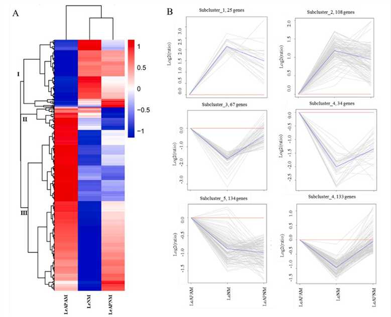 Figure 1. Cluster analysis of differential gene expression patterns among different samples.