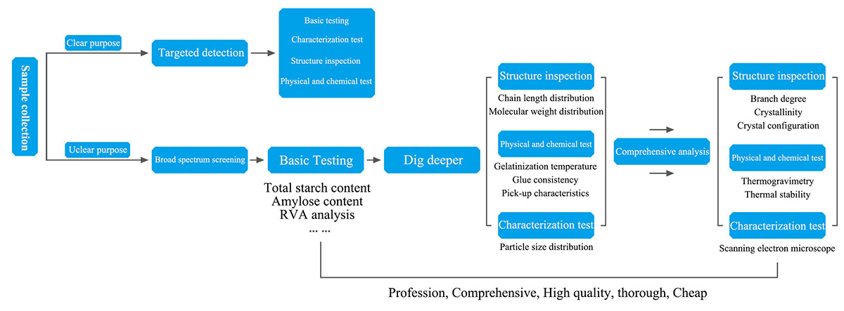 Overall research process of starch analysis technology.