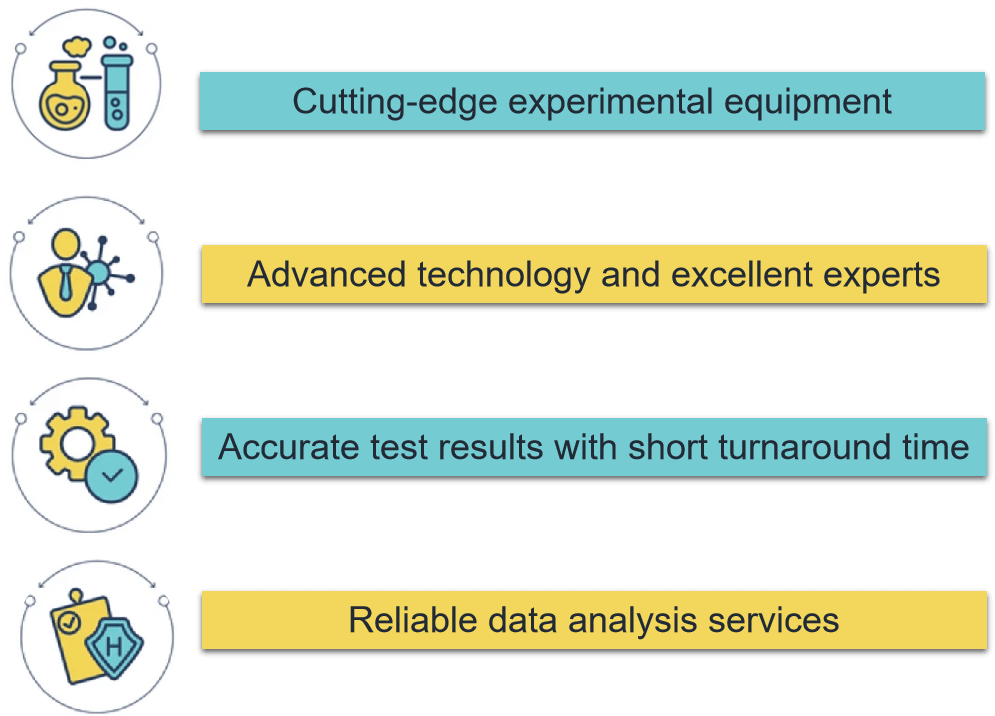 Fig. 2. Our service advantages - Lifeasible