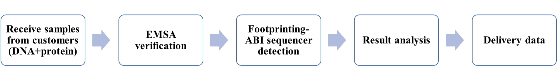 DNase footprinting testing service