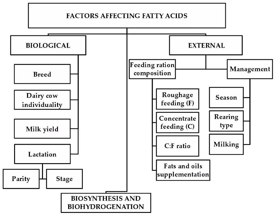 Fig. 1 Diagram of the sources of variability in the fatty acid profile of milk (Hanuš et al., 2018).