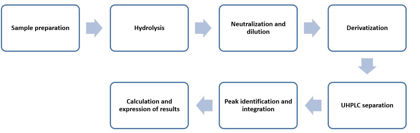Fig. 2 Operation flow for determination of amino acids - Lifeasible.