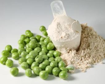 Fig. 1 Pea powder (plant-based protein).hairy submicelle model of the casein micelle (Anema, 2020).