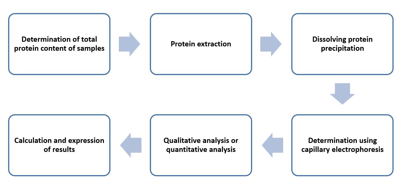 Fig. 2 Operation flow of determination of soy and pea proteins - Lifeasible.