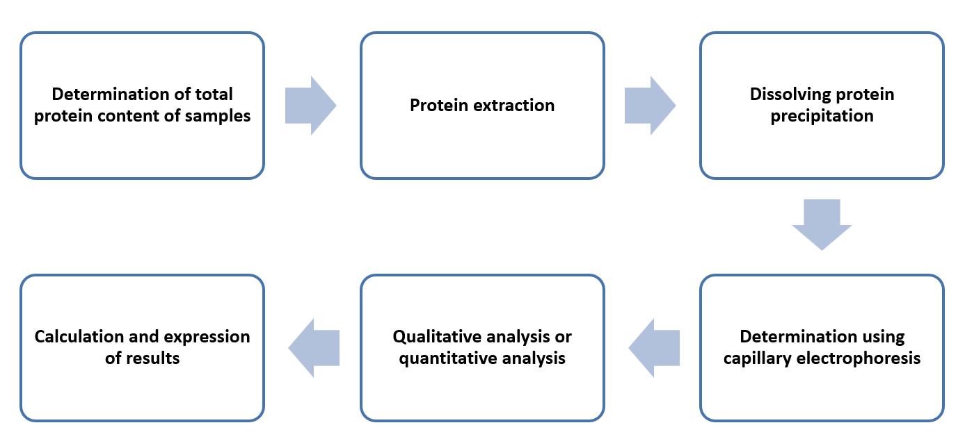 Fig. 2 Operation flow of determination of soy and pea proteins - Lifeasible.