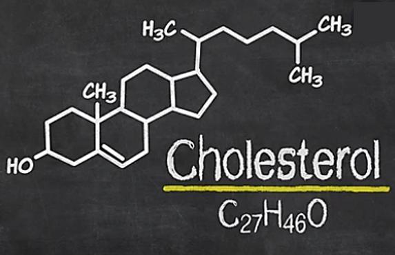 Fig. 1 Chemical structure of cholesterol.