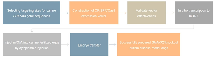 Dog Gene Editing