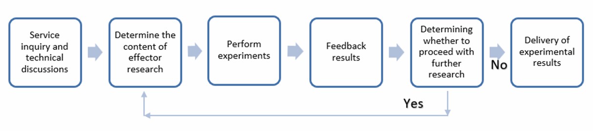 Fig. 2 Service flow for effector studies - Lifeasible.