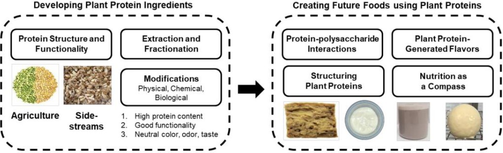 Fig.1. A roadmap to accelerate plant protein science and technology, focusing on plant protein ingredient development and future food creation.