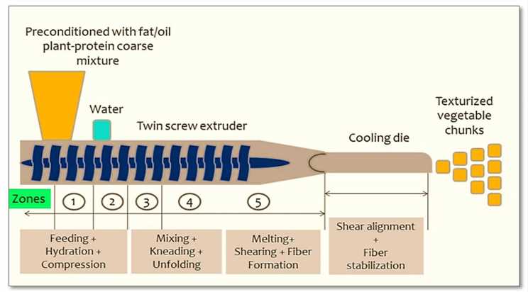 Fig.1. Extrusion technique of making texturized plant-based meat analogue.