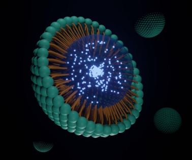 Fluorescent Liposome Development Services