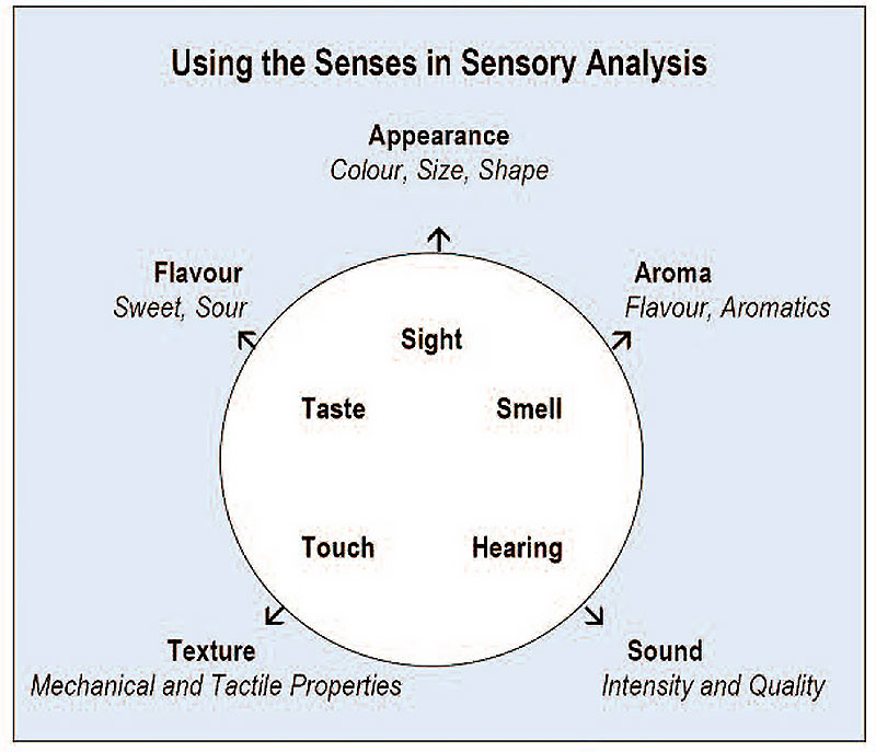 Food Sensory Analysis