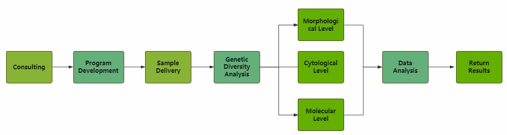 Service Flow Chart of Forest Trees Genetic Diversity Analysis Service - Lifeasible.