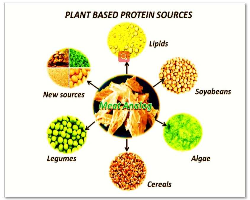 Fig.1. Plant-based protein sources used in novel human foods.