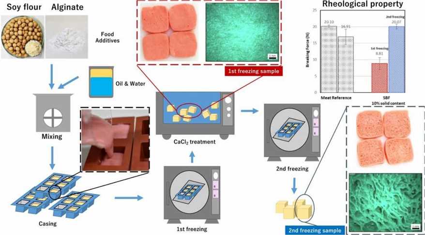  Fig.1. Preparation of soy protein-based food gels and control of fibrous structure and rheological property by freezing.