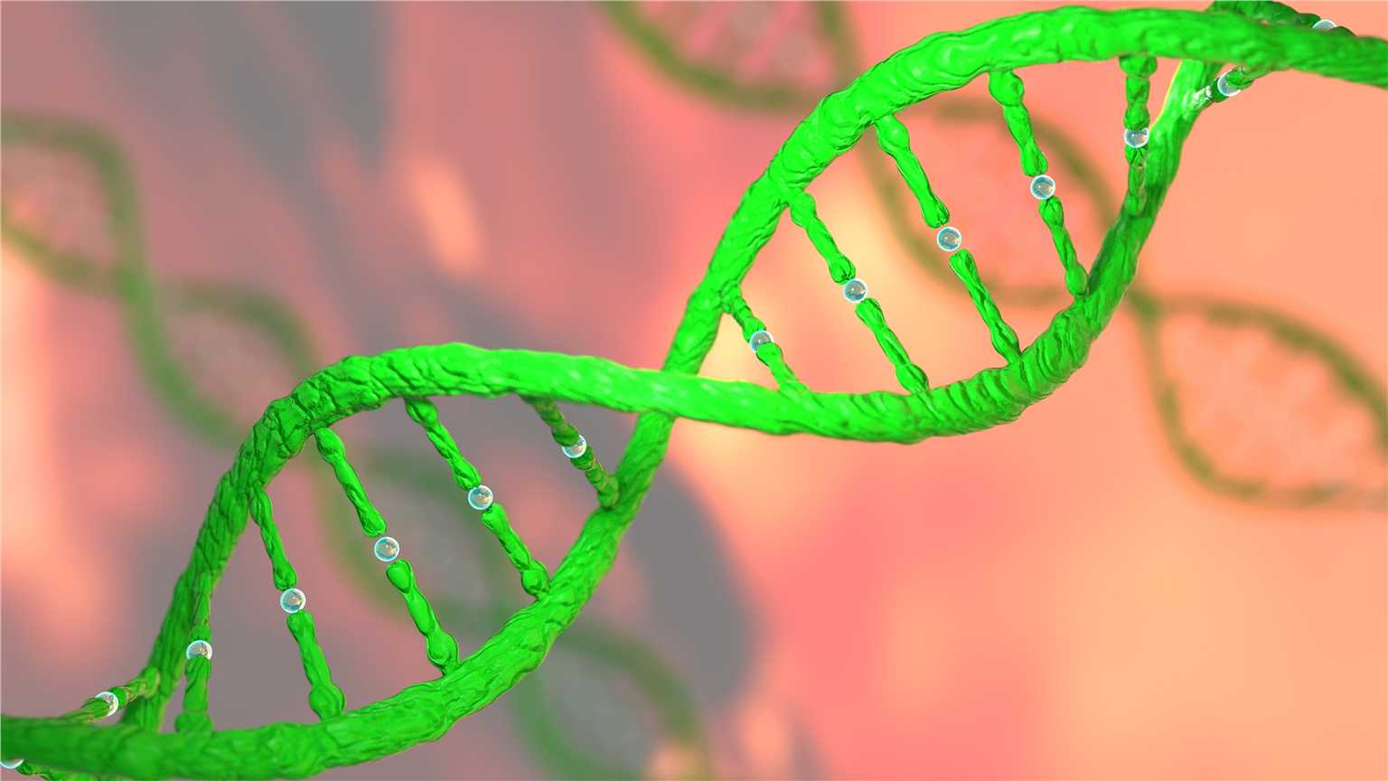 Fungal Genomics Analysis